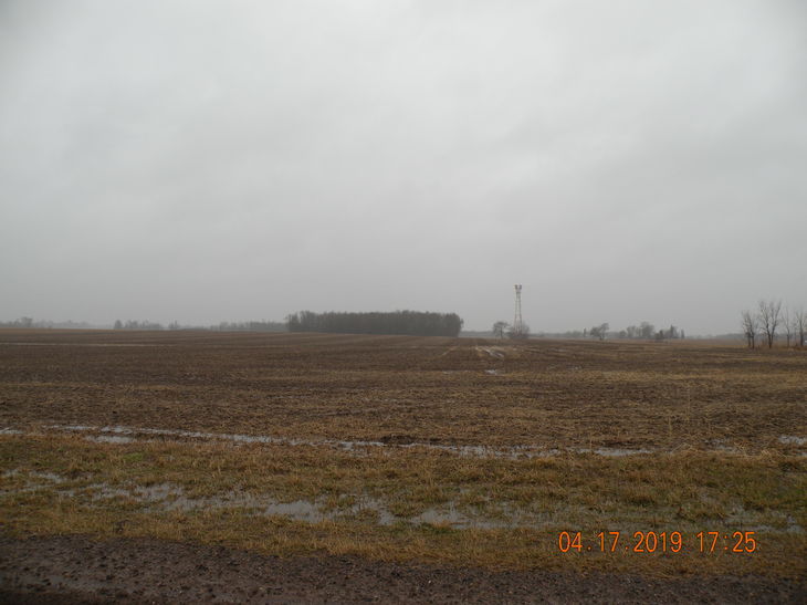 Photographic Image